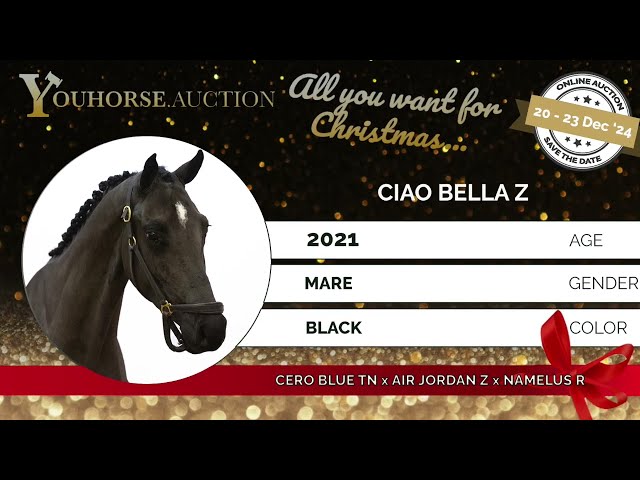 Ciao Bella Z Under the Saddle
