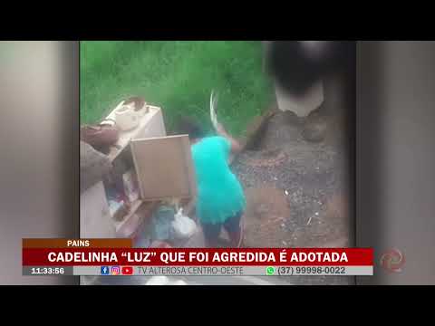 Pains: Cadelinha "Luz" que foi agredida é adotada