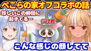 ぺこらのジル君可愛かった話＋ホロメンからのサインの話【ホロライブ切り抜き/兎田ぺこら/不知火フレア/イナ/アイリス】