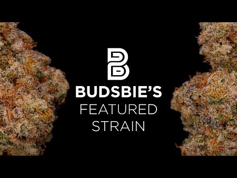 Mac 1 Premium Flower from Vidacann | Budsbie's Featured Strain