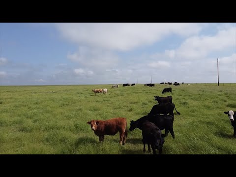 MHM Beyond the Feed Tag