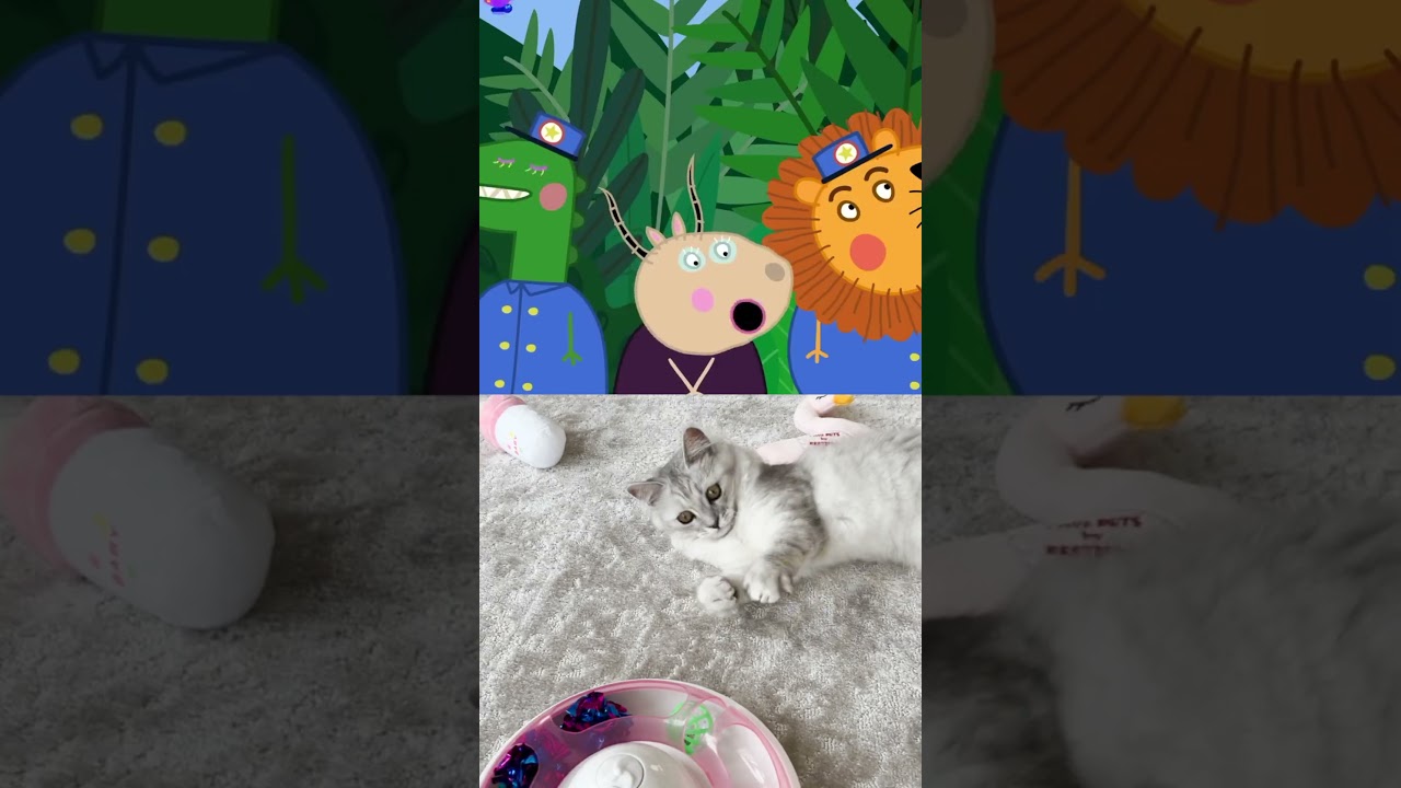 【Move, butterflies!🦋】#shorts