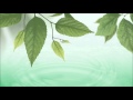 綠度母心咒 Green Tara Mantra - 黃慧音 Imee Ooi