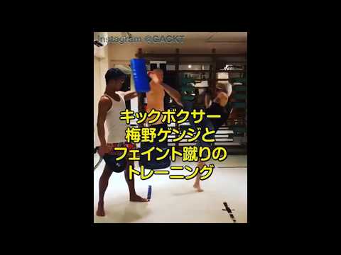 【GACKT 格闘技編】 蹴りのフェイント Instagram（インスタ）
