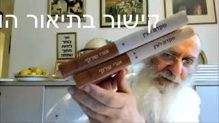 הפטרת שקלים והפטרת משפטים – הרב אורי שרקי