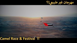 Camel Festival & Race مهرجان الظفرة
