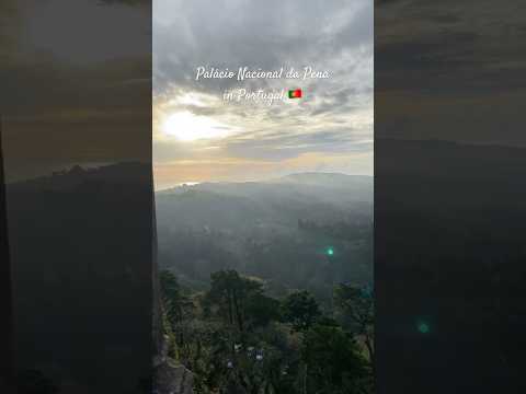 バルバラン ダ ポルト宮殿 - 定義