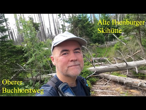 Lost Places im Hochharz: Oberer Buchhorstweg und Alte Ilsenburger Skihütte