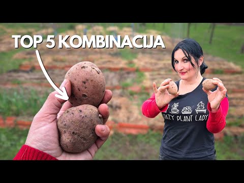 Top 5 Combinations for POTATO PLANTING in My Garden
