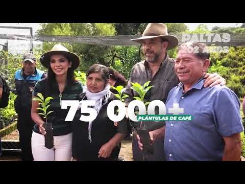 VIVA PALTAS EN SUS 202 AÑOS DE CANTONIZACIÓN