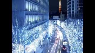 Manfredo Fest - Jungle Kitten