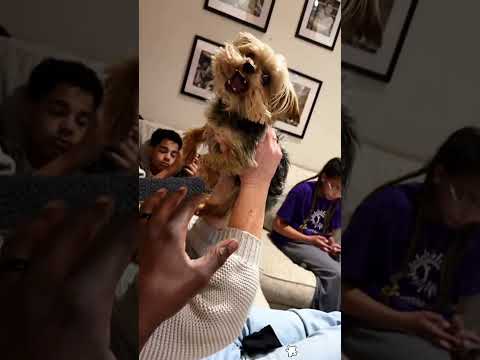 YouTube Thumbnail