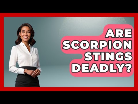 Are Scorpion Stings Deadly? - First Response Medicine