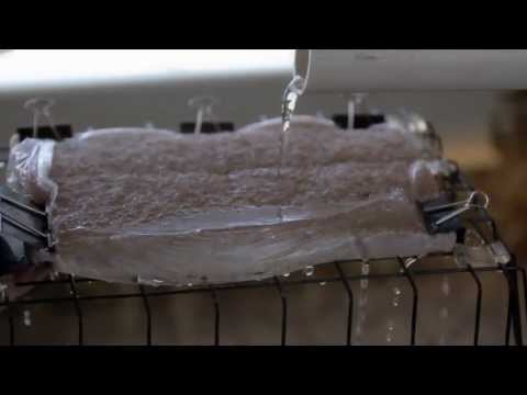 What are the warning signs of septic system failure?