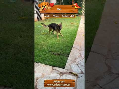 Vídeo de Mel
