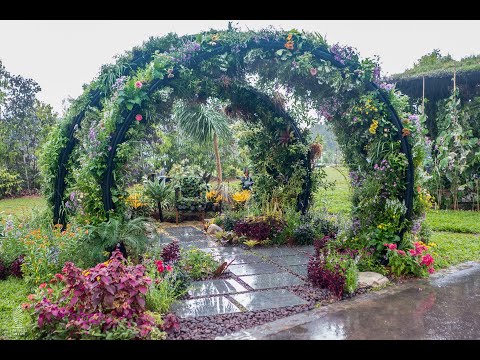 download lagu mp3 mp4 Hortshow, download lagu Hortshow gratis, unduh video klip Hortshow