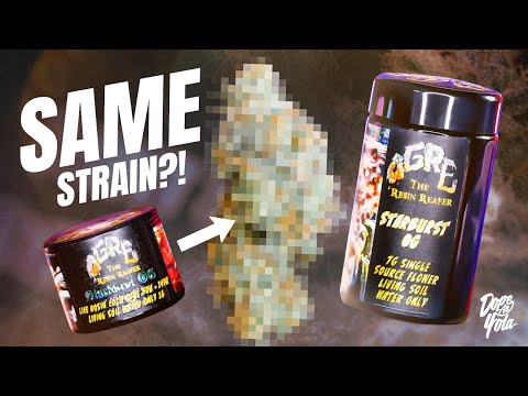 Is This Strain Better as Rosin or Flower?