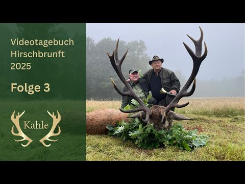A magnificent 14-point deer hunted! Deer rut in Pomerania, Poland | Day 3