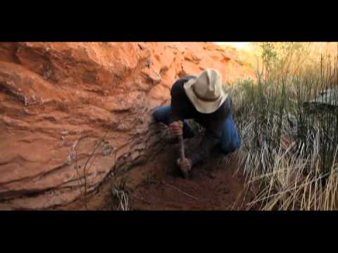 127 Hours (Featurette 'Outdoors Expert Breck Crystal')