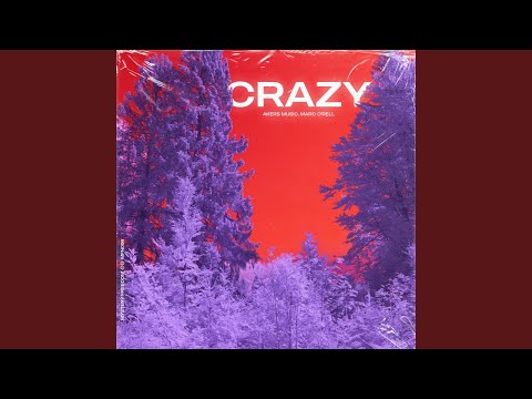 Crazy (Extended Mix)