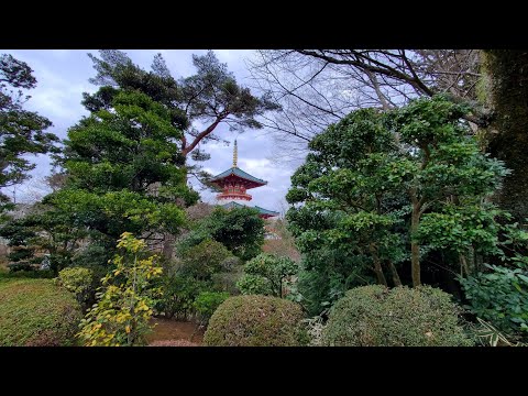 Naritasan Shinsho-ji Temple - feb 2023