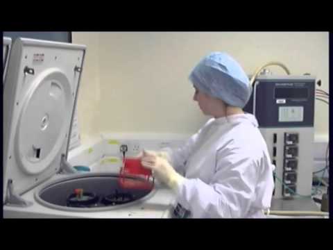 1.  Cell culture laboratory and equipment overview