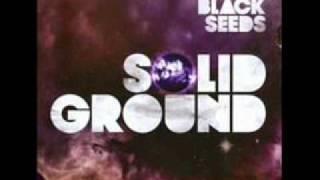 The black seeds - One step at a time