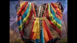 Dolly Parton Coat Of Many Colors