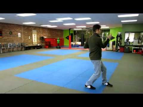 Wing Chun: Empty Hands