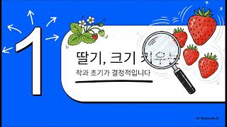 다조아  최고 품질 딸기 시비법, 이것만 지키면 됩니다. 다조아 제품 문의 및 상담 자연과콩 고객센터 010…