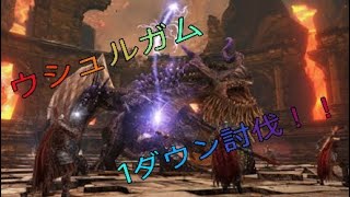 [DDON]魔角の老竜ウシュムガル1ダウン討伐できまんた。