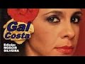 AQUARELA DO BRASIL (letra e vídeo) com GAL ...