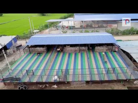 Plastic Slatted Floor For Livestock 24X16