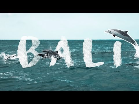ÜBERALL DELFINE🐬 Ein toller Tag auf Bali ♥️ Bali Tag 7