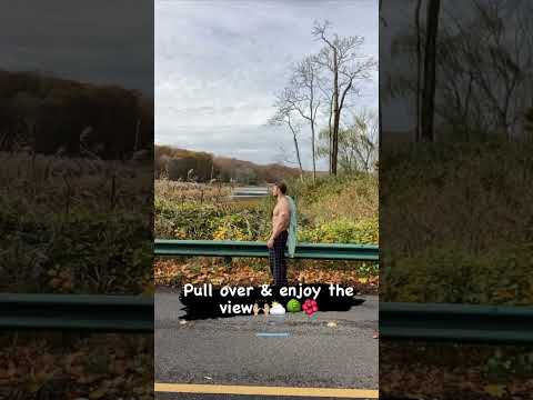 Pull over & enjoy the View