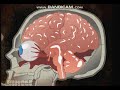Zombie Warrior Man 2 Flash Game Walkthrough