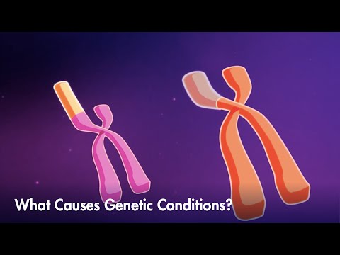 How mutations, or variations, can lead to genetic conditions