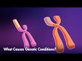How Mutations Or Variations Can Lead To Genetic Conditions