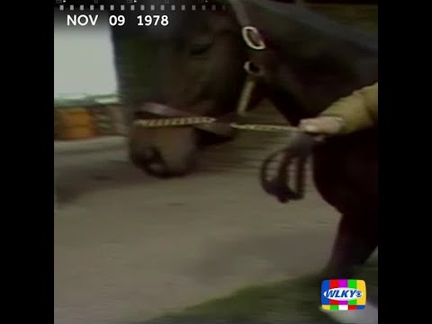 From the Archives: Triple Crown Winner Seattle Slew