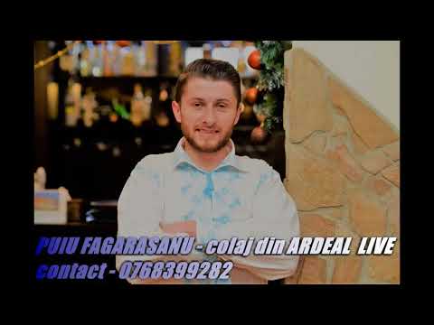 30 MIN  De muzica populara cu PUIU FAGARASANU SI FORMATIA PANDORA  LIVE 2018