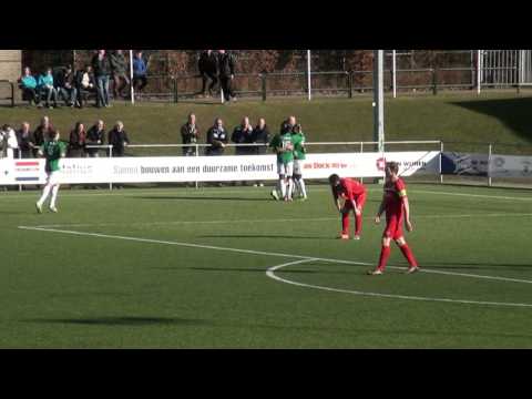 Samenvatting VVOG-WVF