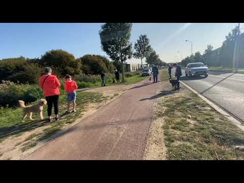 Mini cursus - honden passeren met pubers  - les 2 (hondenschool kersten)