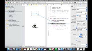 Xcode 10 - Swift 5 Animation Tutorial EASY programming