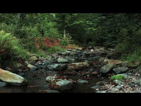 Arrows of Desire - Guy Sweens