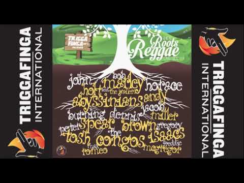 TRIGGAFINGA INTL - CONFESSION VOL. IV - THIS IS ROOTS REGGAE (Dubplates & 45s)