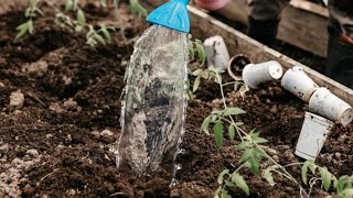Como otimizar o uso de água na agricultura