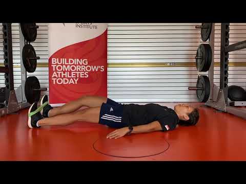 adductors