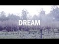 Dream | Ryuichi Sakamoto short film competition (based on "Stalker" by Andrei Tarkovsky)