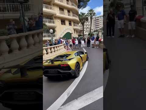 24K Magic✨This Liquid Gold Sesto Elemento owns the F1 circuit! #car #rich #lady #supercars #travel