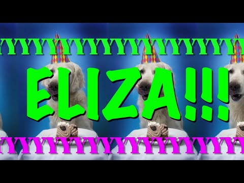 HAPPY BIRTHDAY ELIZA! - EPIC Happy Birthday Song